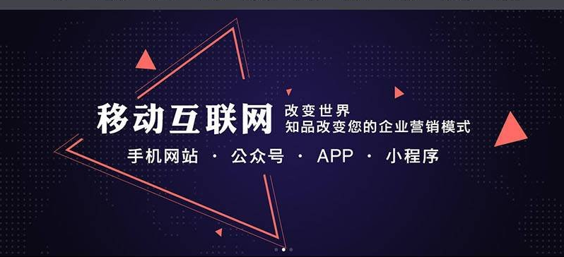 桐浦手机网站